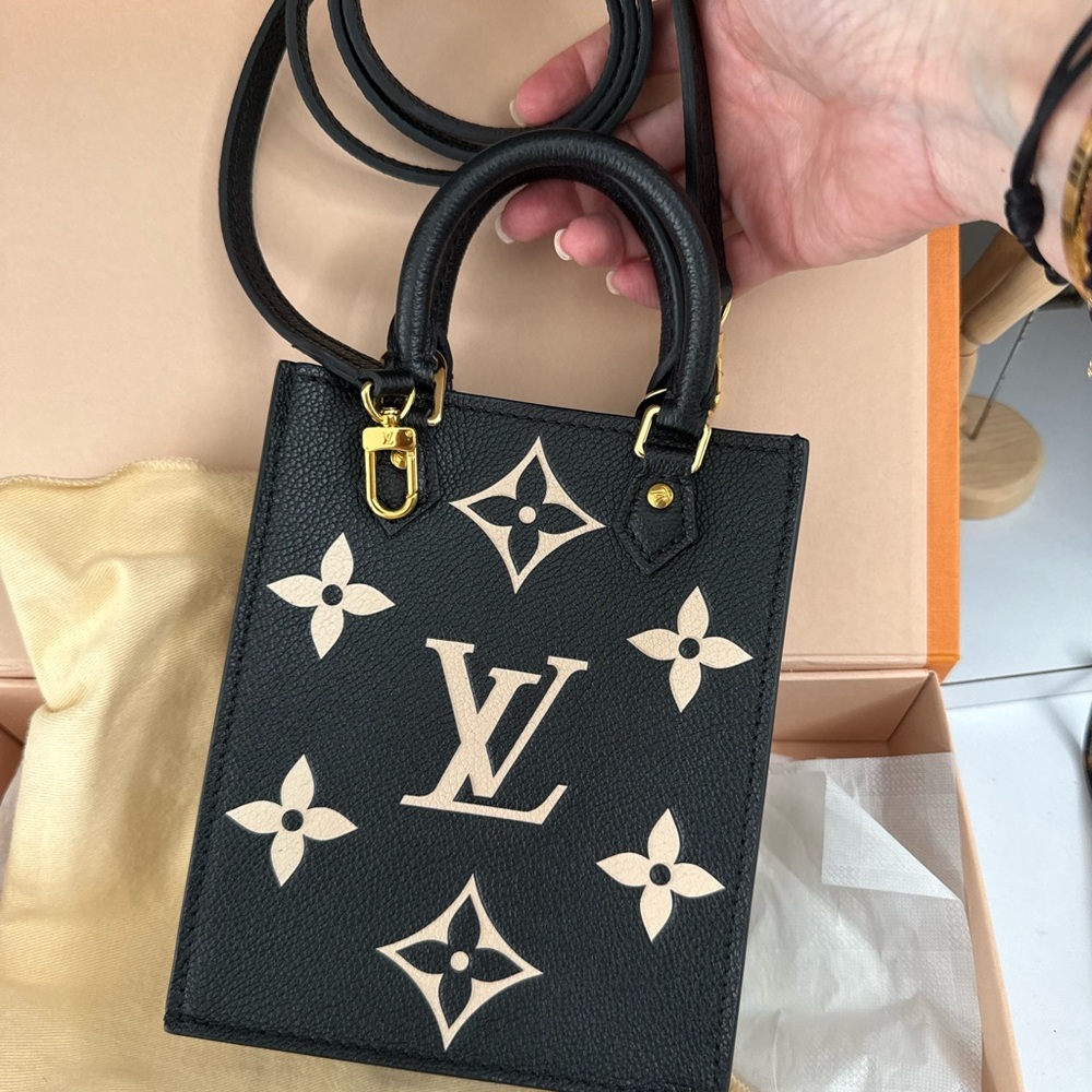Louis Vuitton Black and Tan Mini Bag